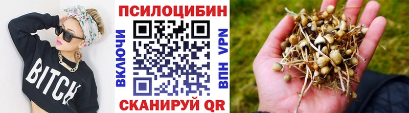 Псилоцибиновые грибы GOLDEN TEACHER  где продают   Анива 